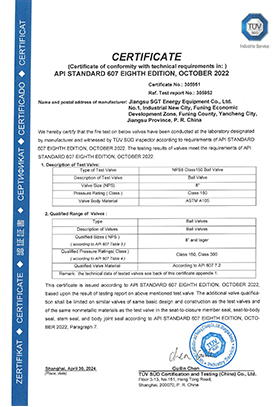 8" Class 150 API 607 Certification
