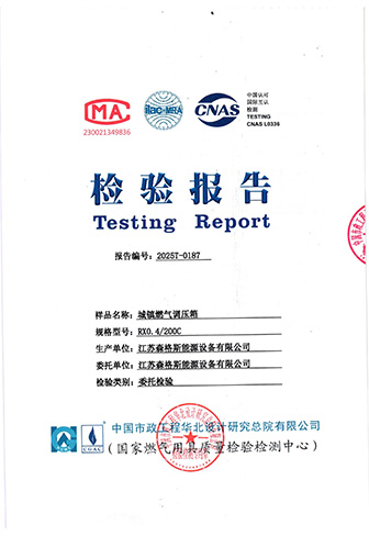 City Gas Pressure Regulator Box Commissioned Test Report