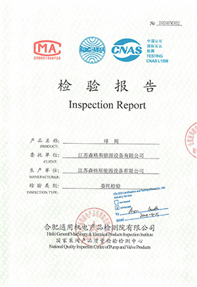 8" Class 150 Inspection Report