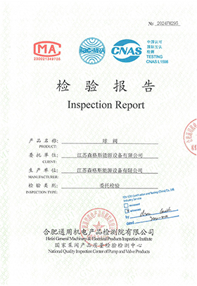 8" Class 600 Inspection Report
