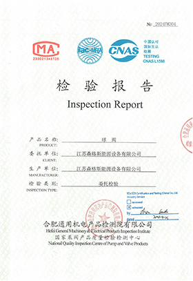 2“Class150 Inspection Report