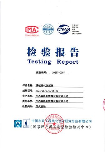 City Gas Pressure Regulator LS132 Type Test Report