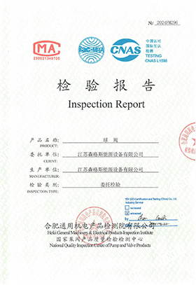 8" Class 1500 Inspection Report