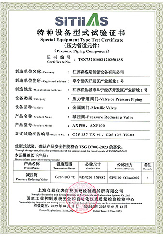 AXP Pressure Reducing Valve Type Test Certificate