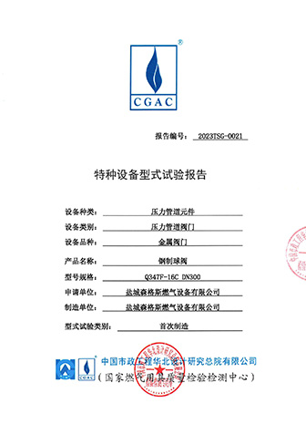 Metal Valve Type Test Report