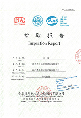 4" Class 1500 Inspection Report