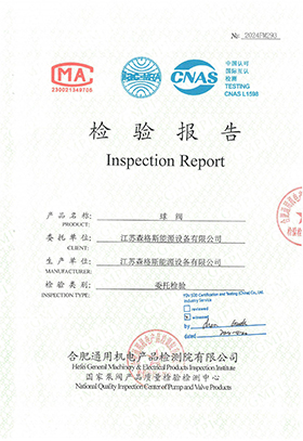 2“Class600 Inspection Report