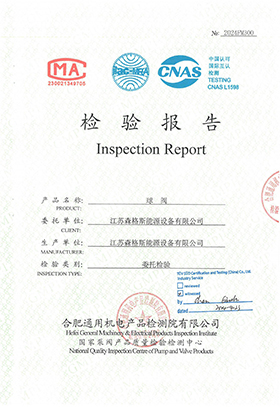 4" Class 600 Inspection Report