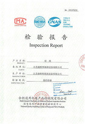 8" Class 1500 Inspection Report