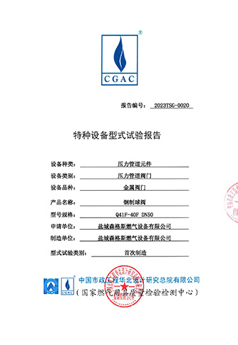 Metal Valve Type Test Report