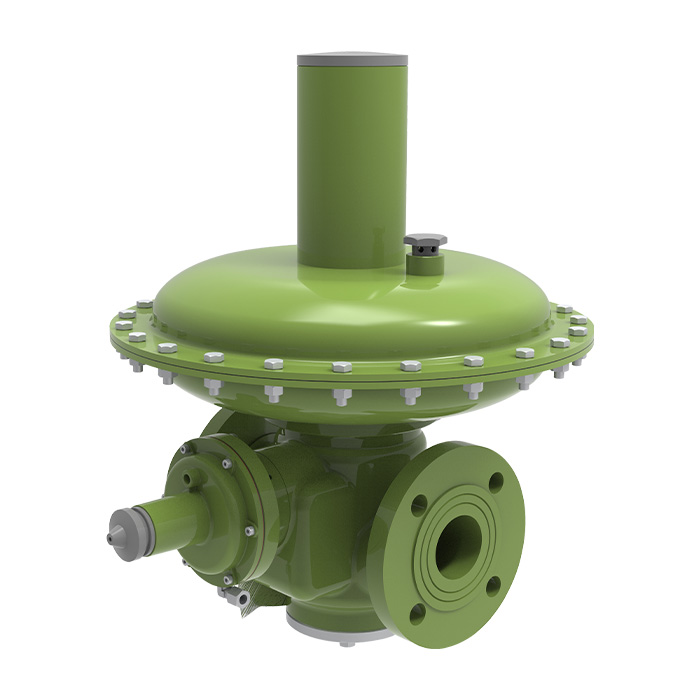 DS Series Regulator